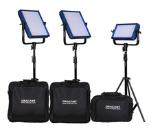 Dracast Pro Series Daylight 4-Light ENG Kit con placas de batería con montaje en V