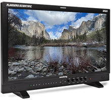 FSI Paquete para campo DM211 Monitor Profesional, 21.5" FHD, LCD