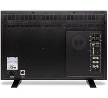 FSI Paquete para campo DM211 Monitor Profesional, 21.5" FHD, LCD