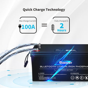 Renogy Batería, fosfato de hierro y litio, 12 V y 200 Ah c/Bluetooth